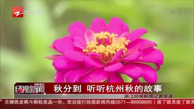 秋分到 听听杭州秋的故事