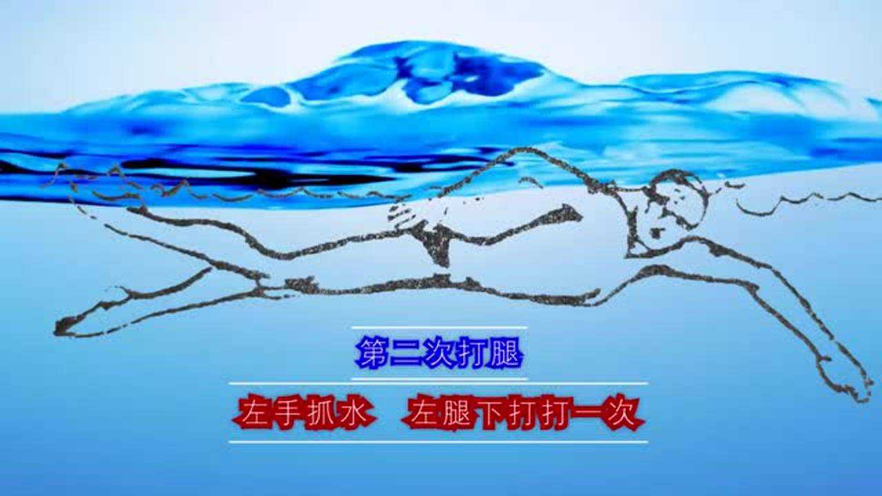 中游体育:一分二十秒了解自由泳四次腿怎么打