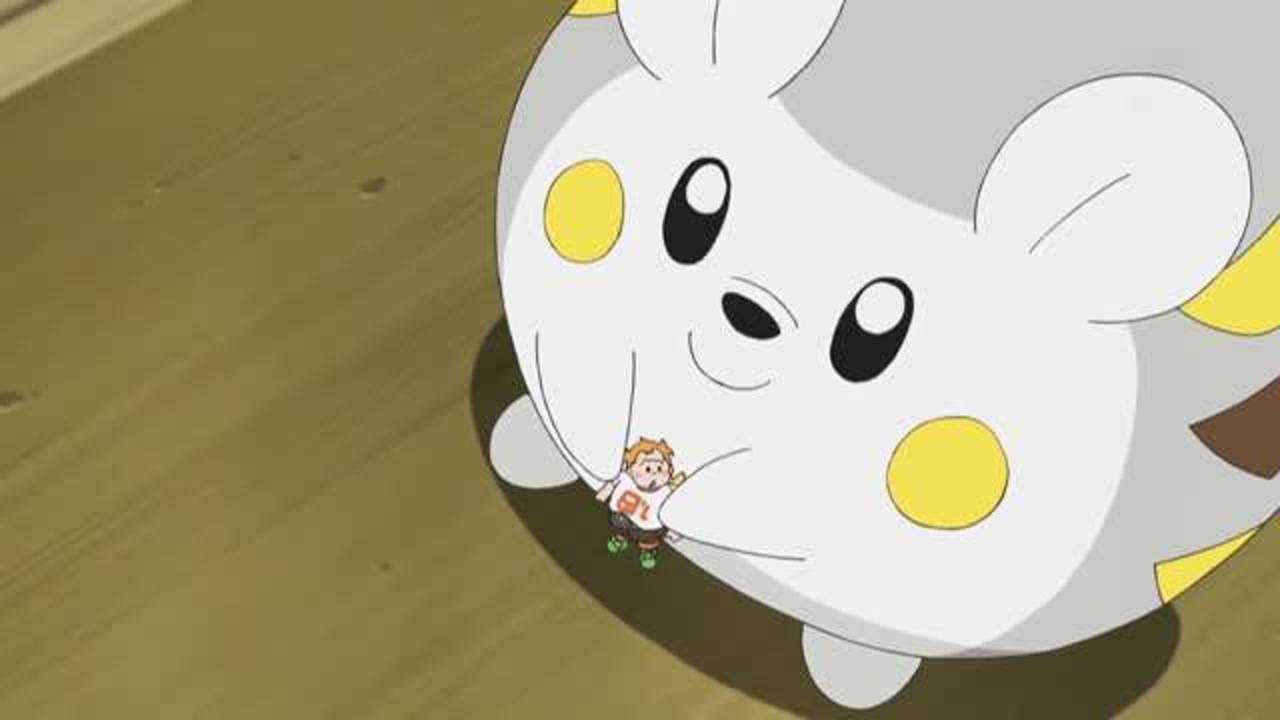 精灵宝可梦:小智,莉莉艾,马玛内都变小了,大家不知所措