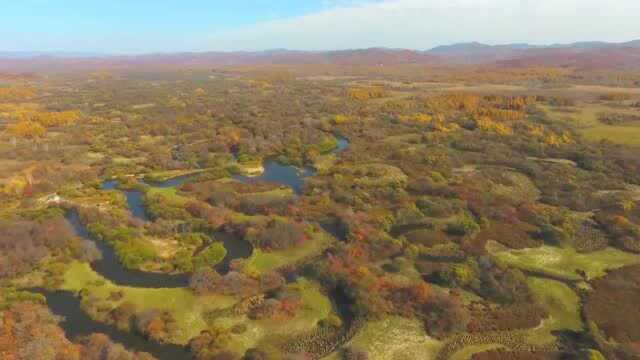 保护生物多样性 共建地球生命共同体