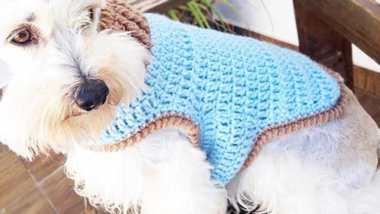 家居针织实用宠物狗狗衣服钩织教程