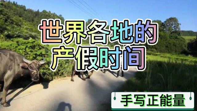 世界各地产假时间,瑞典是16个月! 值得了解.