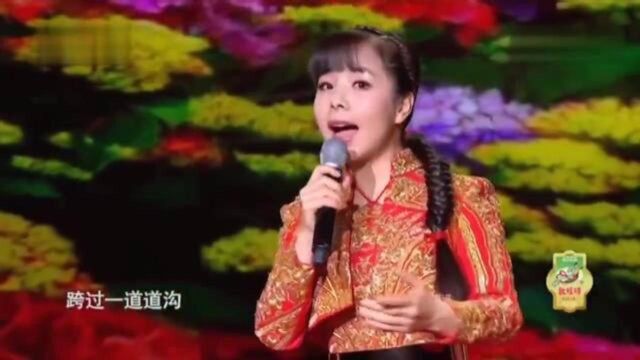 王二妮精彩演唱《陕北人》陕北人淳朴善良,性格豪爽