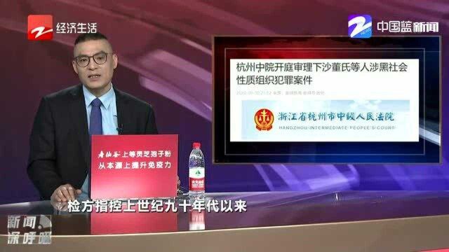 杭州下沙董氏等人涉黑社会性质组织犯罪案件开审