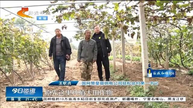 石家庄:建设改造农村电网,为种植提供保障,村民实现脱贫致富