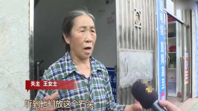 家中不起眼的石墩,竟然被人偷走,失主才知道它的价值