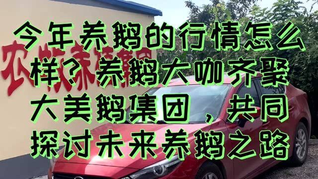 今年养鹅行情怎么样?养鹅大咖齐聚大美鹅集团,共同探讨未来养鹅之路.