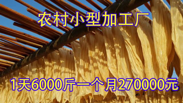 农村不起眼的小作坊,1天产6000斤,月收入270000元,你感兴趣吗