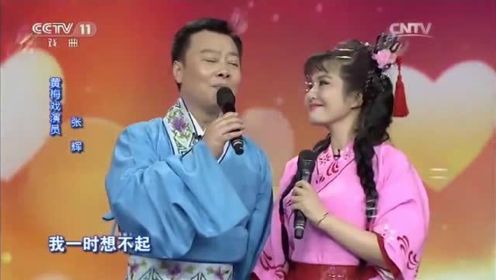 张辉田岷合唱歌曲《甜蜜蜜》，粉色泡泡满天飞，好似一对恩爱夫妻