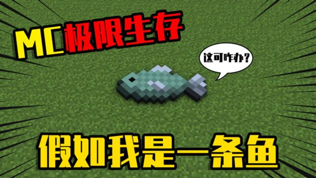 我的世界极限生存:假如我是一条鱼,该如何生存?