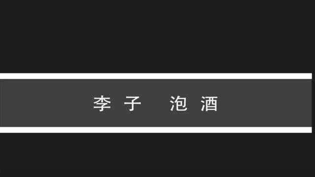 泡制李子酒正宗怎样自制李子酒