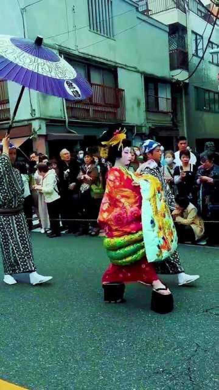 全日本最美丽的花魁游街,不愧是最美花魁,全日本男人们的焦点