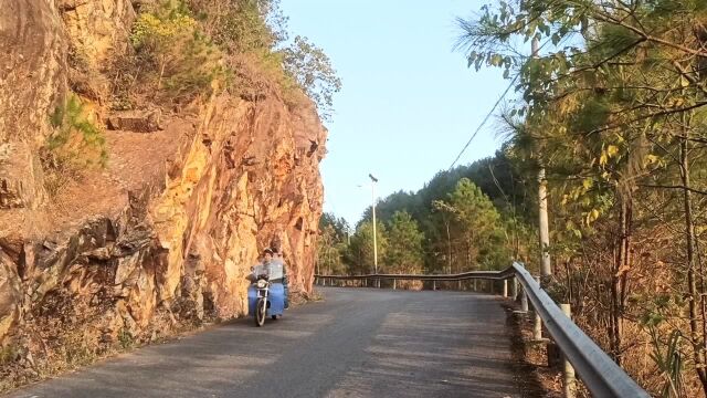 东洛到沙田的沿途风景!