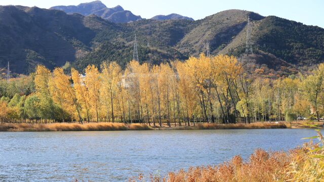 寻找最美公园秋景|怀柔雁栖湖微风徐来,阳光正好