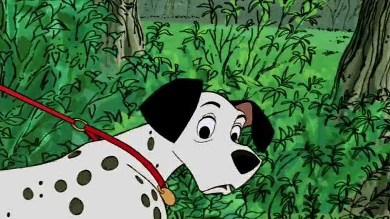 101斑点狗:庞戈和佩蒂一见钟情