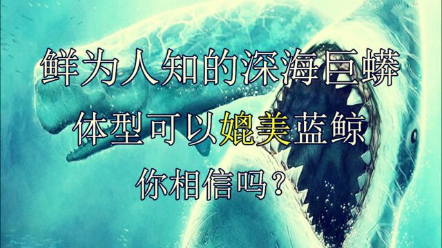 鲜为人知的深海巨蟒,体型可以媲美蓝鲸!