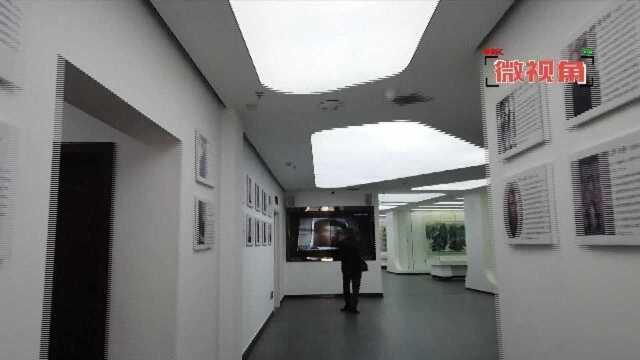 (来看画展)“徐悲鸿与近现代文艺名家作品”首次来湘展出