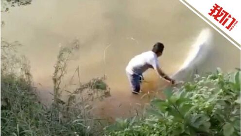 惠州淡水水域一只中华白海豚不幸死亡 此前曾被市民拍到视频
