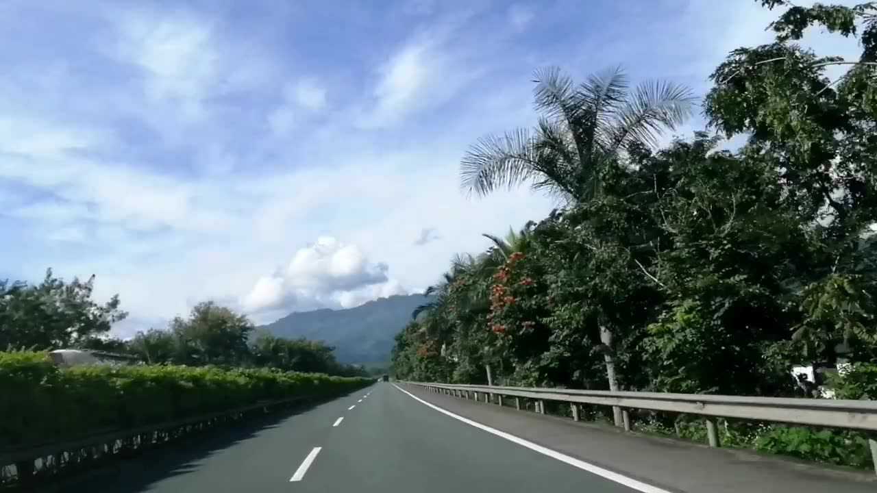 在昆磨高速普文到大渡岗段,行道树是火焰树,花大,色正.