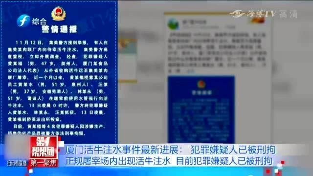 厦门一屠宰场给活牛注水,负责人涉嫌犯罪,最新进展结果公布