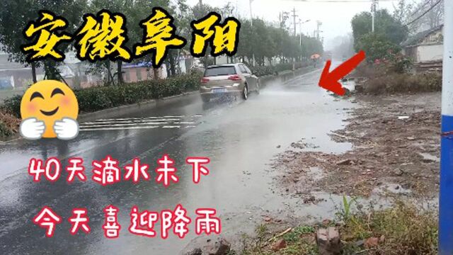 安徽阜阳秋收以来滴雨未下,今夜喜迎降雨小麦丰收有望啦