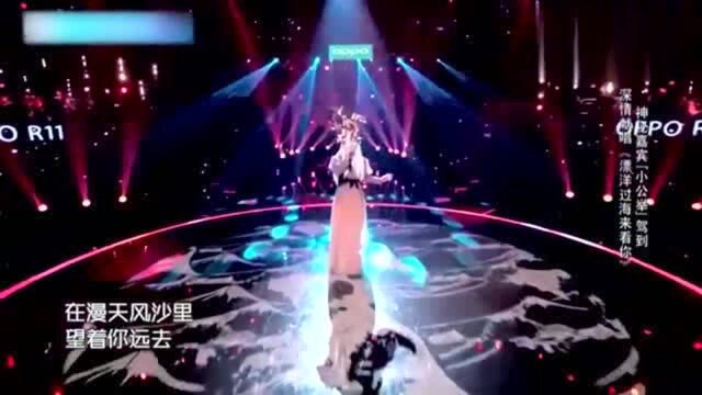 惊艳演唱《漂洋过海来爱你》,听到歌词,莫名难过