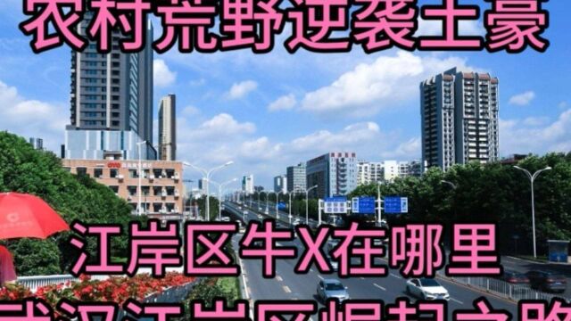 武汉江岸区土豪逆袭之路?江岸区武汉排名第二?农村荒野逆袭土豪