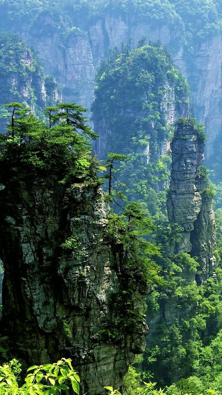 山峰耸立绿葱茏鸟鸣叽喳飞天空