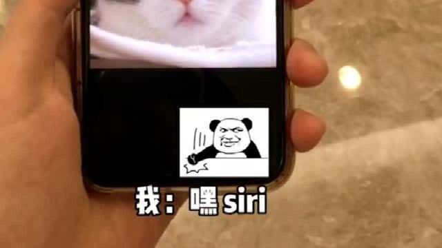 Siri竟然可以起名字,快去试试你的叫什么吧!记得回来告诉我