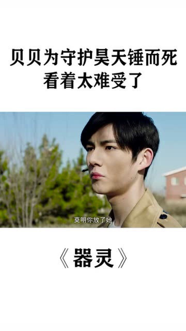 器灵:贝贝为守护昊天锤,苏夜,而死