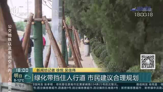 绿化带挡住人行道 市民建议合理规划