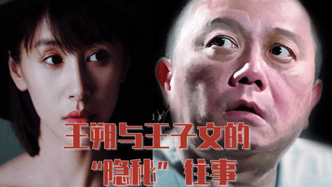 王朔与王子文的"隐秘"过往 俩人当年算是上演了一出英雄救美