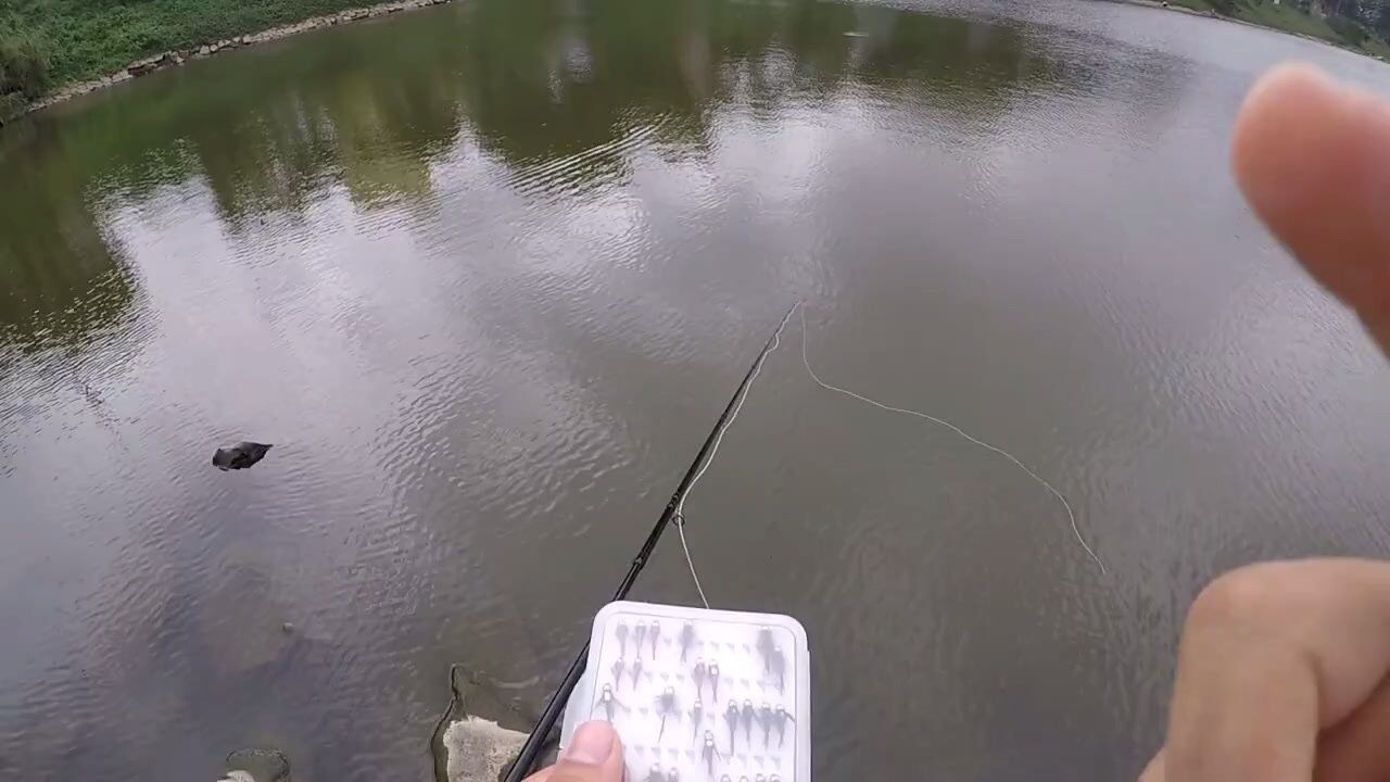 飞蝇钩飞钓钓法,抛竿就中罗非鱼!_高清1080P在线观看平台_腾讯视频