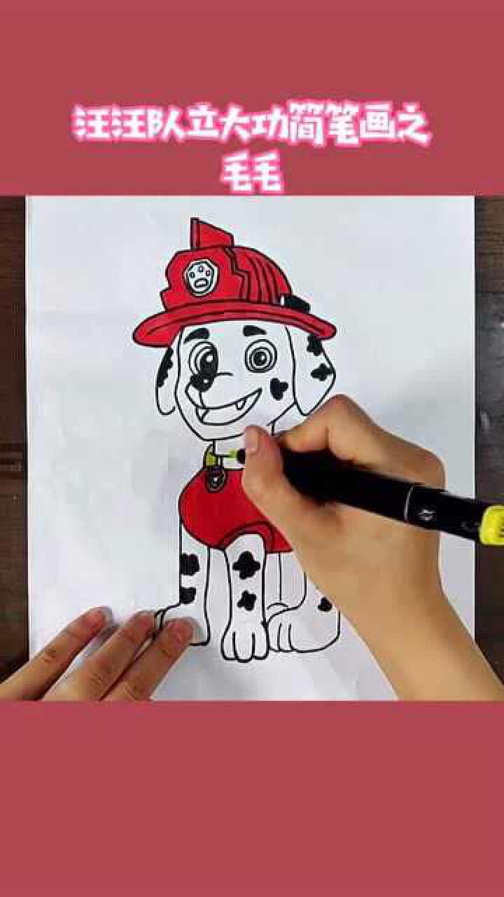 汪汪队立大功简笔画:汪汪队集合了,可可爱爱的消防犬毛毛来啦!