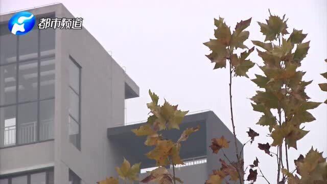 郑州:10万工资被4“假人”领走,“他们”竟还每天打卡上班?