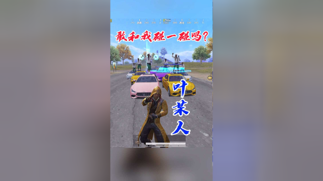 你们还想看我叶某人偷谁的车?