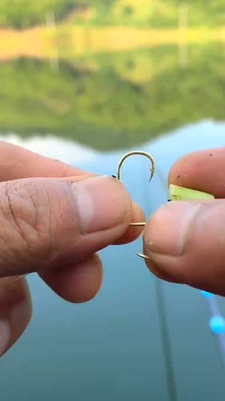 挂草心钓草鱼