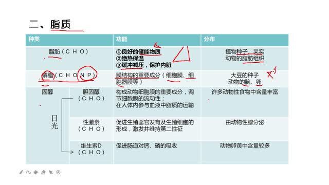 人教版高一生物必修1同步课:细胞中的糖类和脂质