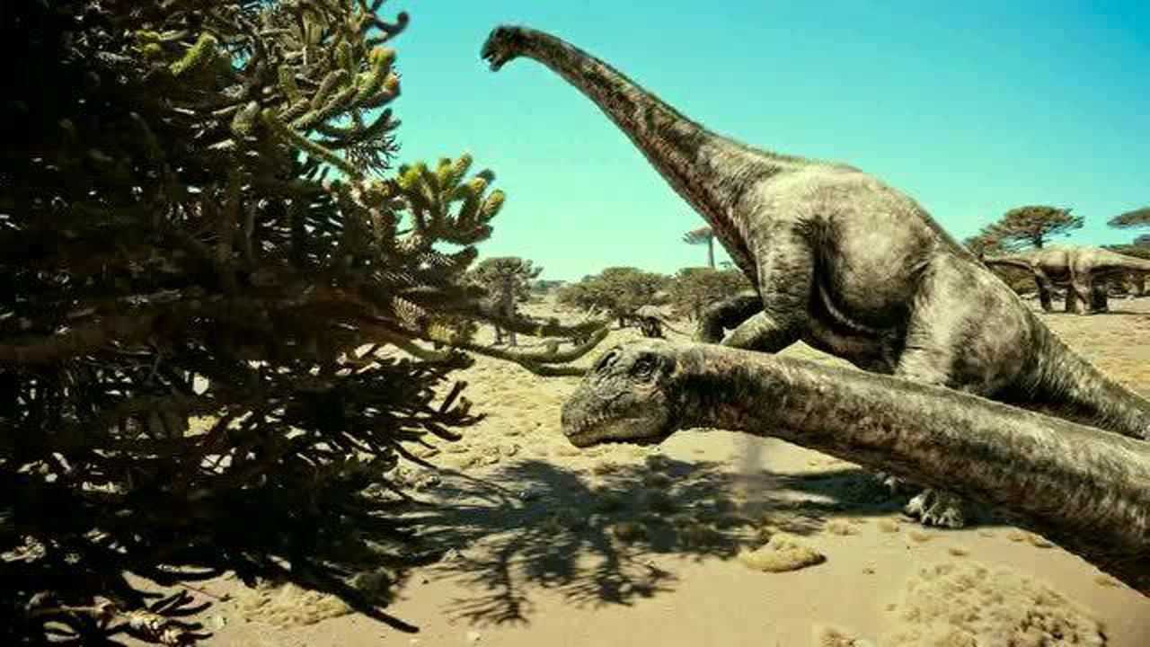 霸王龙唯一不能奈何的恐龙阿根廷龙结队扫荡森林树木好稀疏