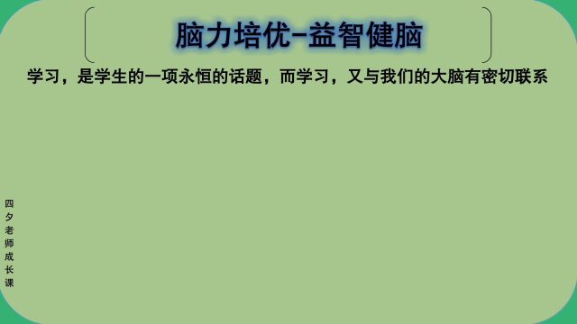 学习能力训练营:脑力培优益智健脑