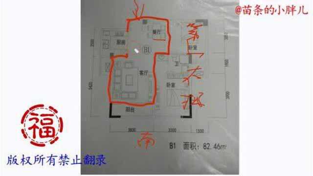 常见的户型图分析1