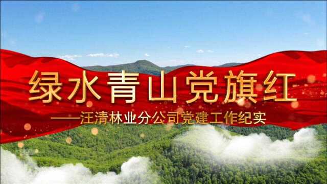 2020年12月16日 汪林播报 绿水青山党旗红