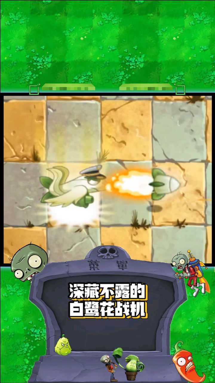 植物大战僵尸深藏不露的白鹭花战机别看他子弹小但伤害高呀