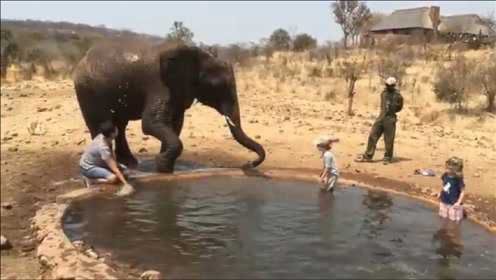 大象正和小朋友玩水，家长在一旁偷袭大象，遭到大象反击！