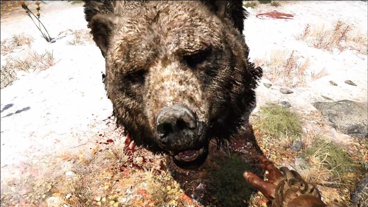 孤岛惊魂,原始杀戮33:成功驯化穴熊,带领它大战猛兽剑齿虎