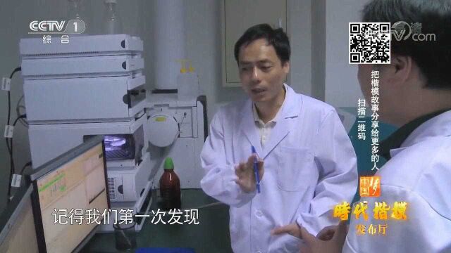 研制心血管新药13年,王逸平团队反复实验太严谨