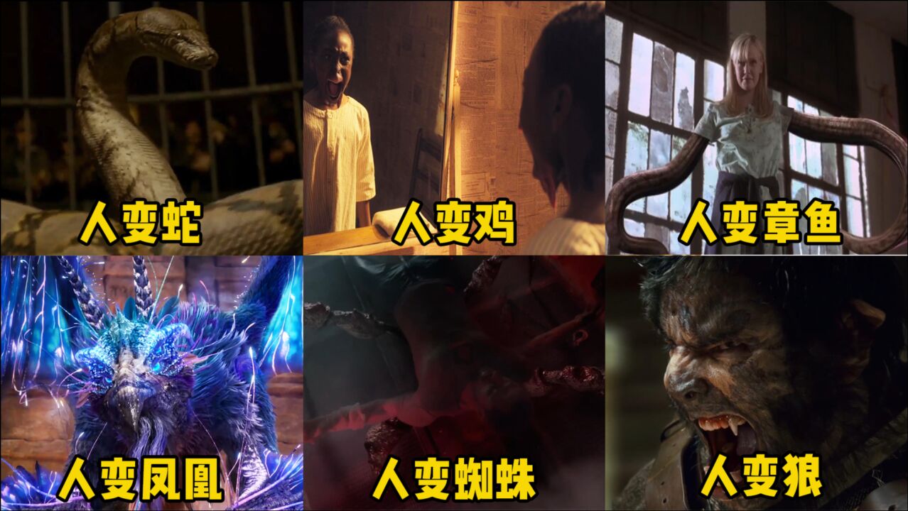 Ӱе˱䶯ĸŤ
