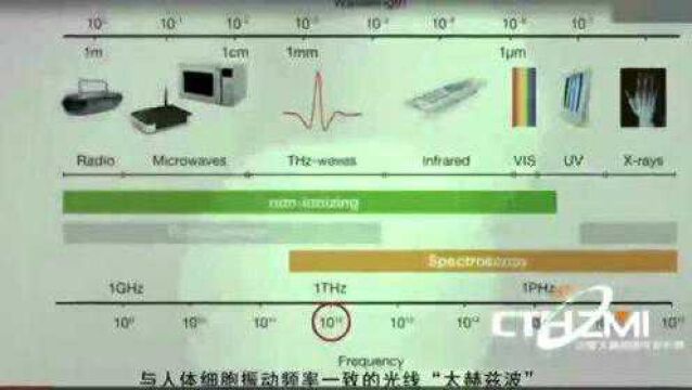 太赫兹波对人体的作用