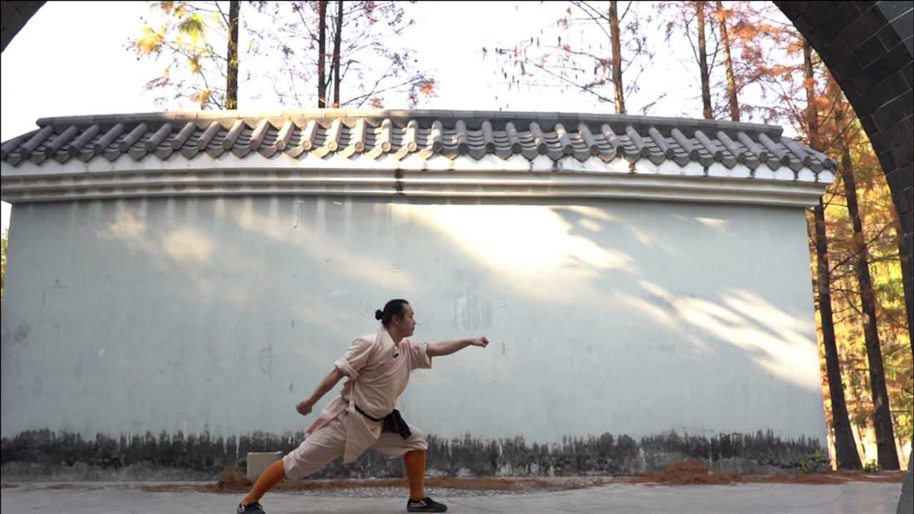 少林十三拳出手犹如卷地风练到家就是金刚也打到的境界凌云