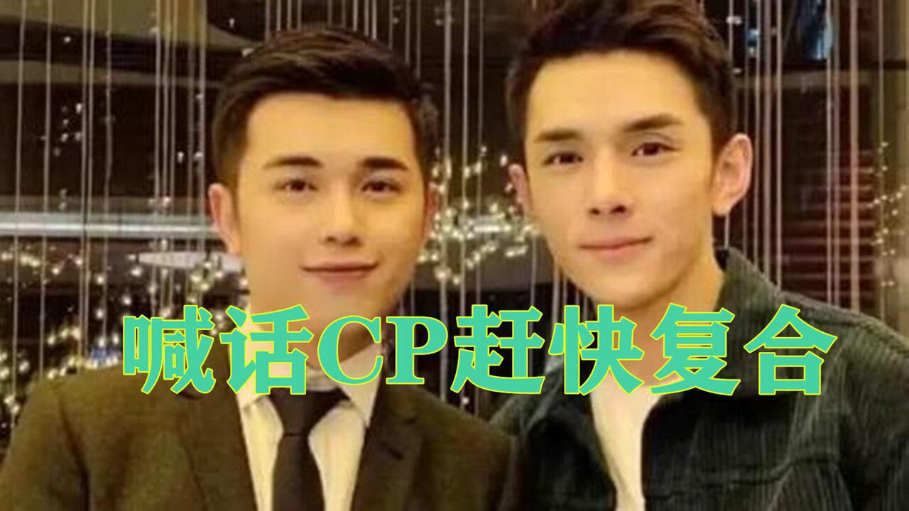 李佳琦和付鹏用情侣头像了网友猜其是宣示主权喊话cp赶快复合